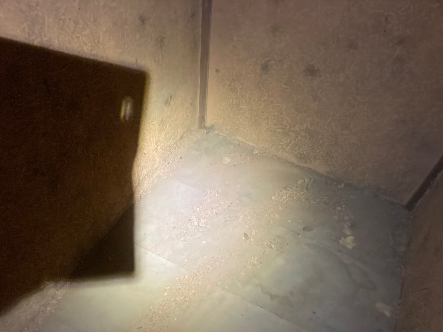 イタチによる被害　H様邸　駆除実績