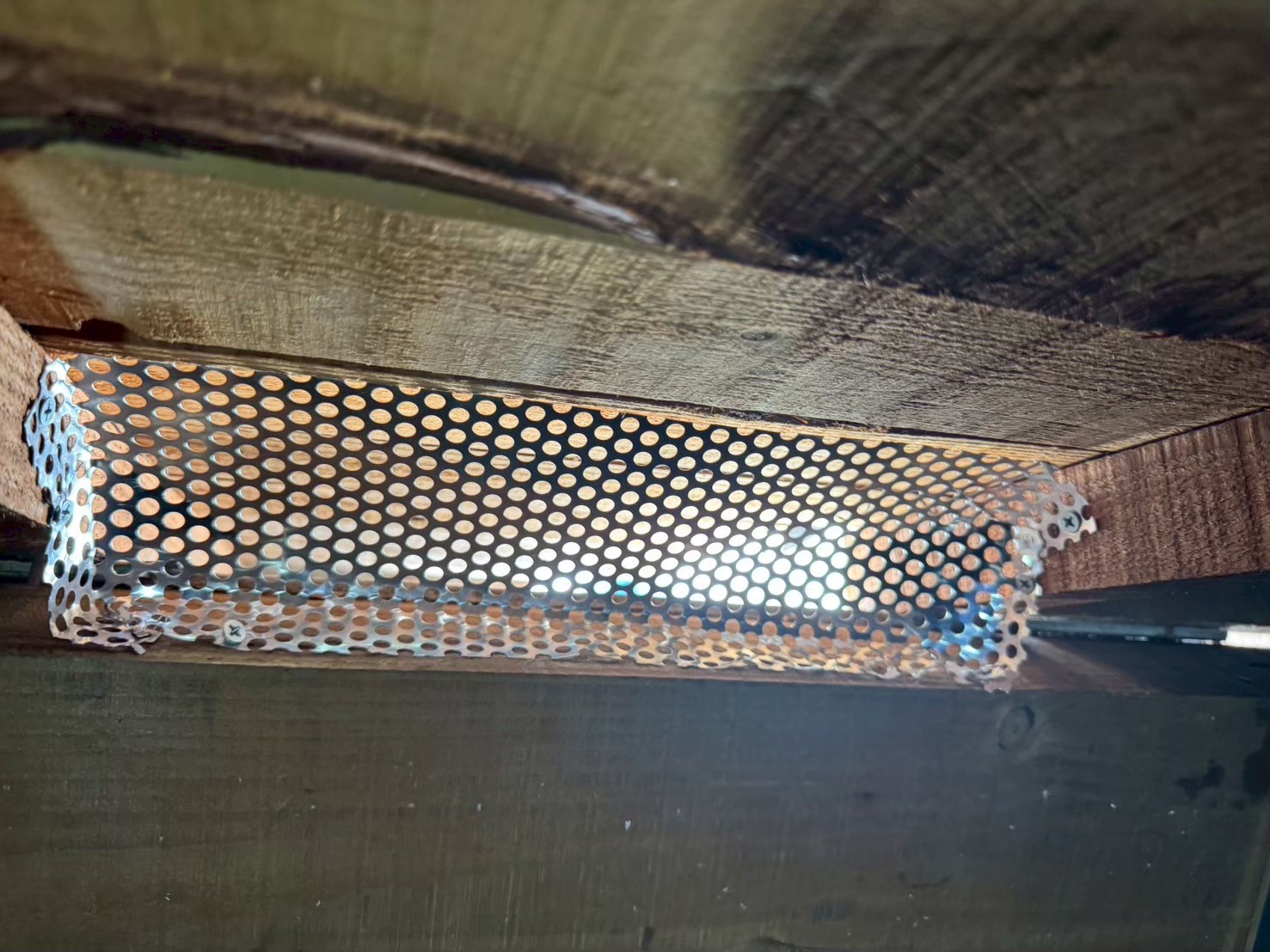 佐賀県神埼市　イタチによる被害　M様邸　駆除実績