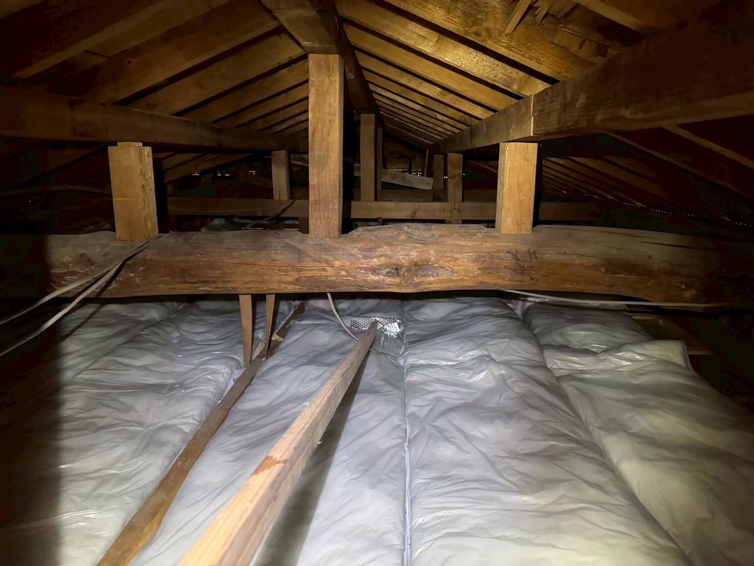 福岡県大野城市　アライグマによる被害　E様邸　駆除実績