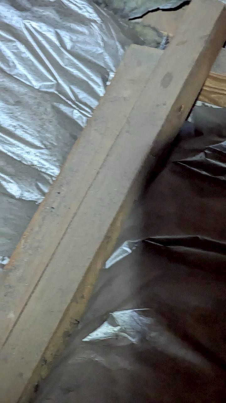 福岡県飯塚市　ネズミによる被害　H様邸　駆除実績