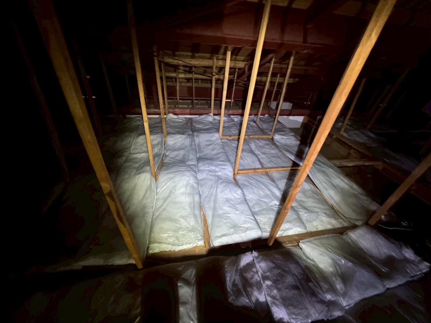 佐賀県伊万里市　イタチによる被害　T様邸　駆除実績