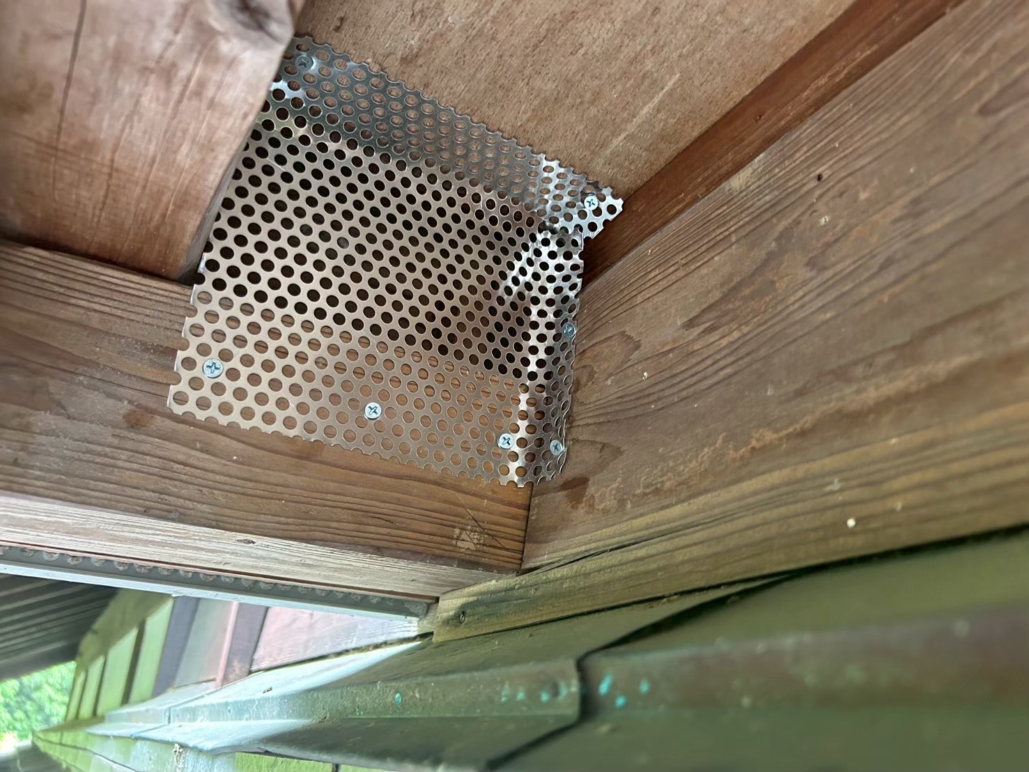 福岡県うきは市　アライグマによる被害　J様邸　駆除実績