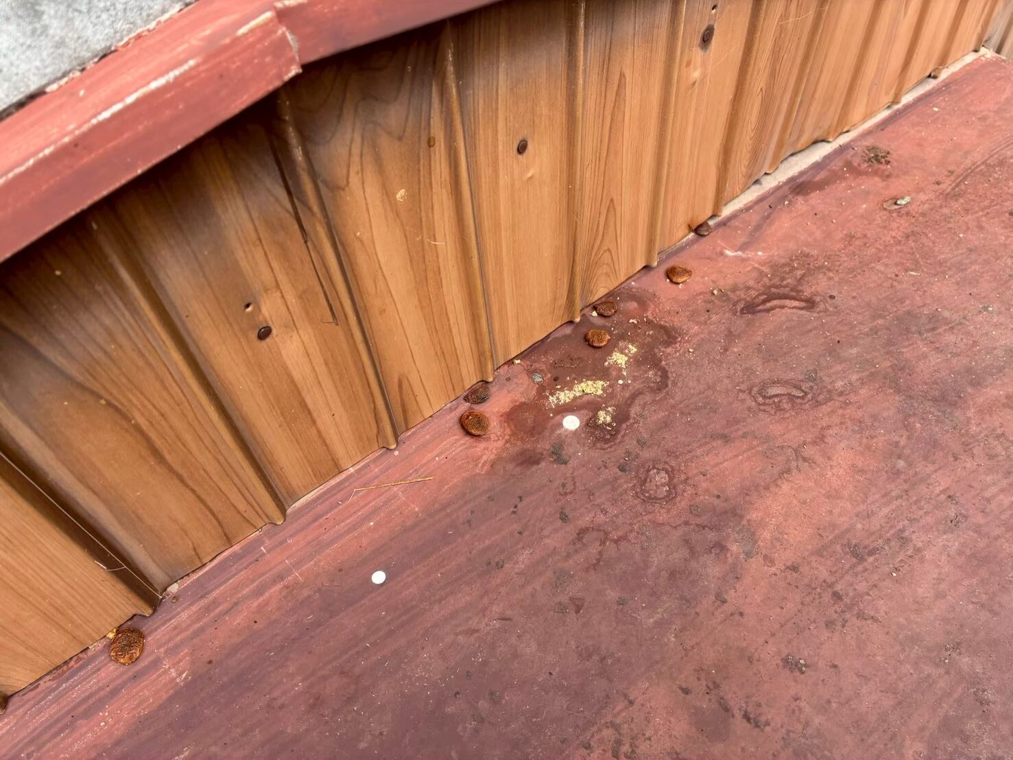 福岡県北九州市　アライグマによる被害　T様邸　駆除実績