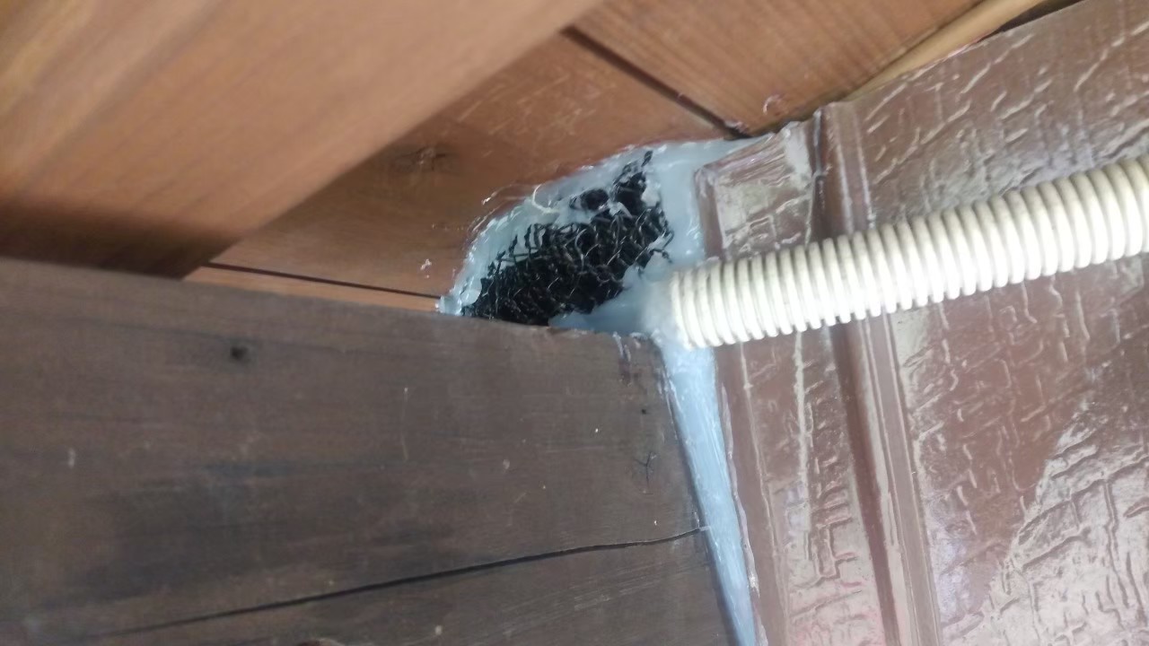 佐賀県武雄市　ネズミによる被害　M様邸　駆除実績