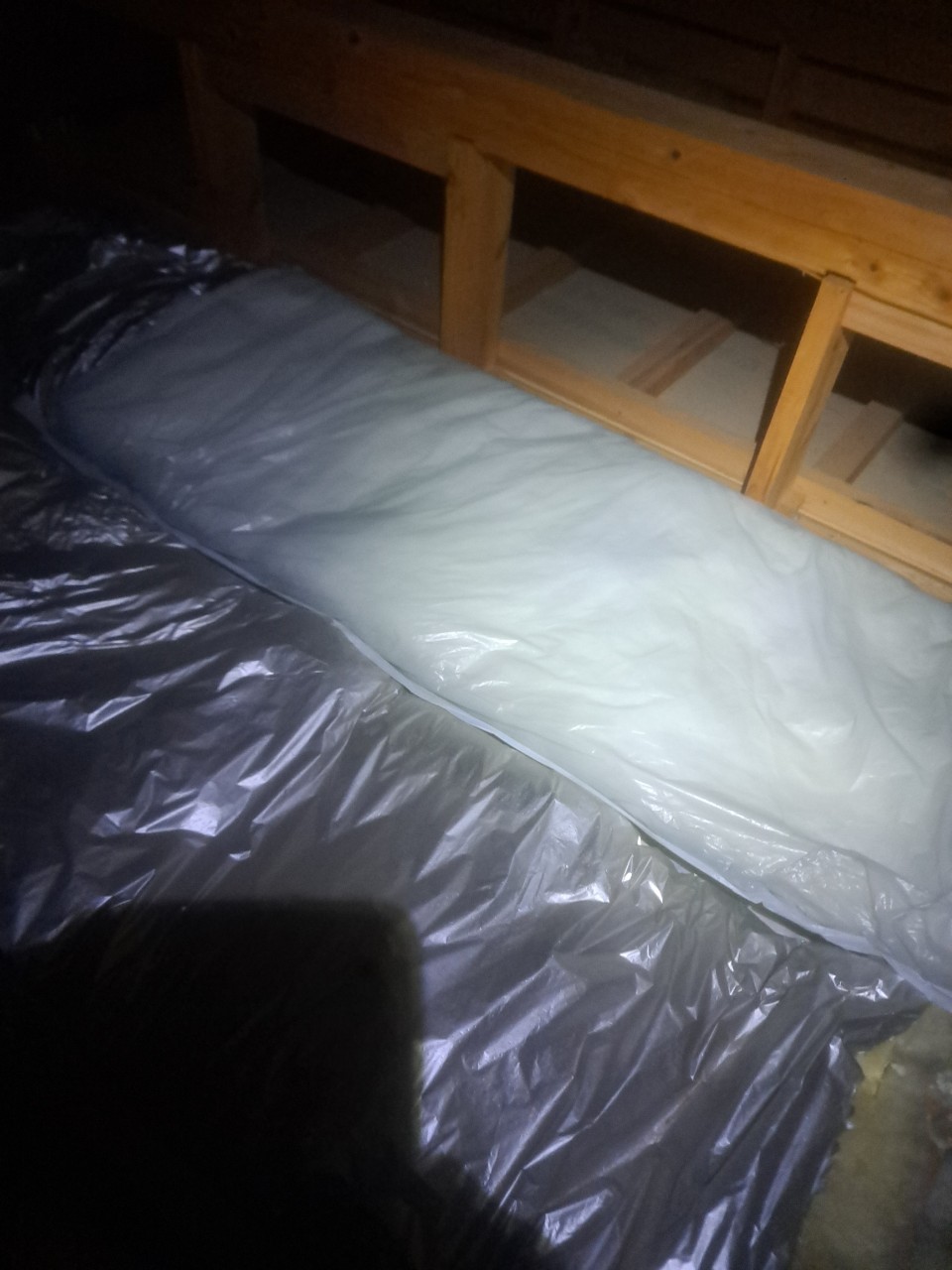 佐賀県鹿島市　アライグマによる被害　M様邸　駆除実績