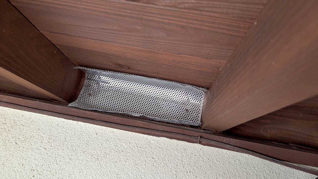 福岡県八女市　イタチによる被害　D様邸　駆除実績