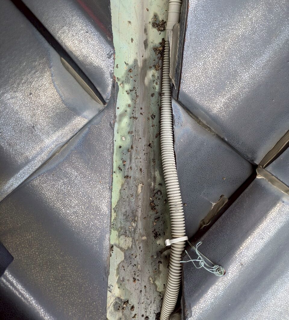 福岡県朝倉市　アライグマによる被害　A様邸　駆除実績