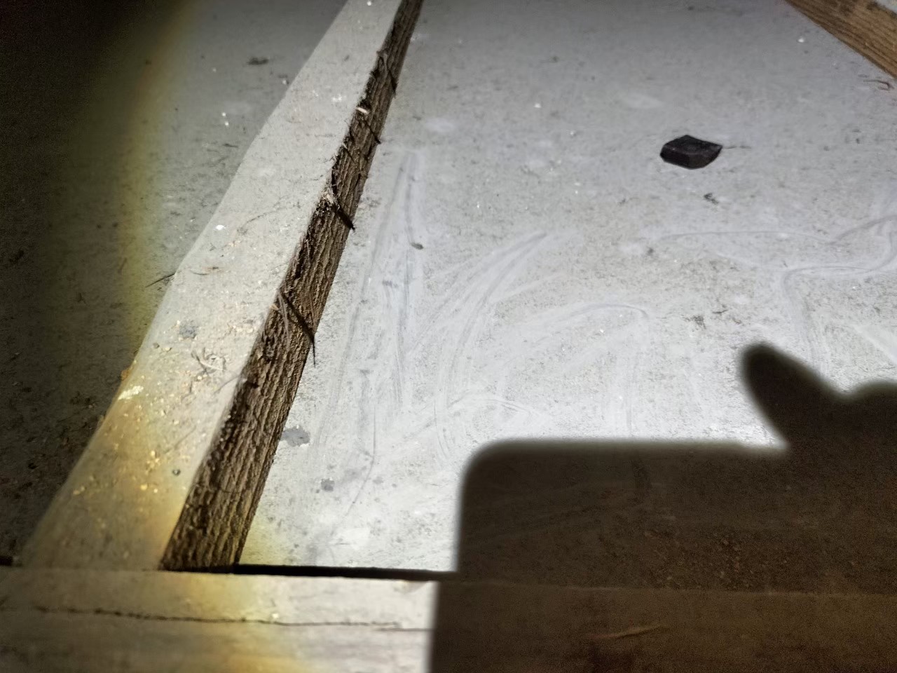 佐賀県伊万里市　ネズミによる被害　J様邸　駆除実績