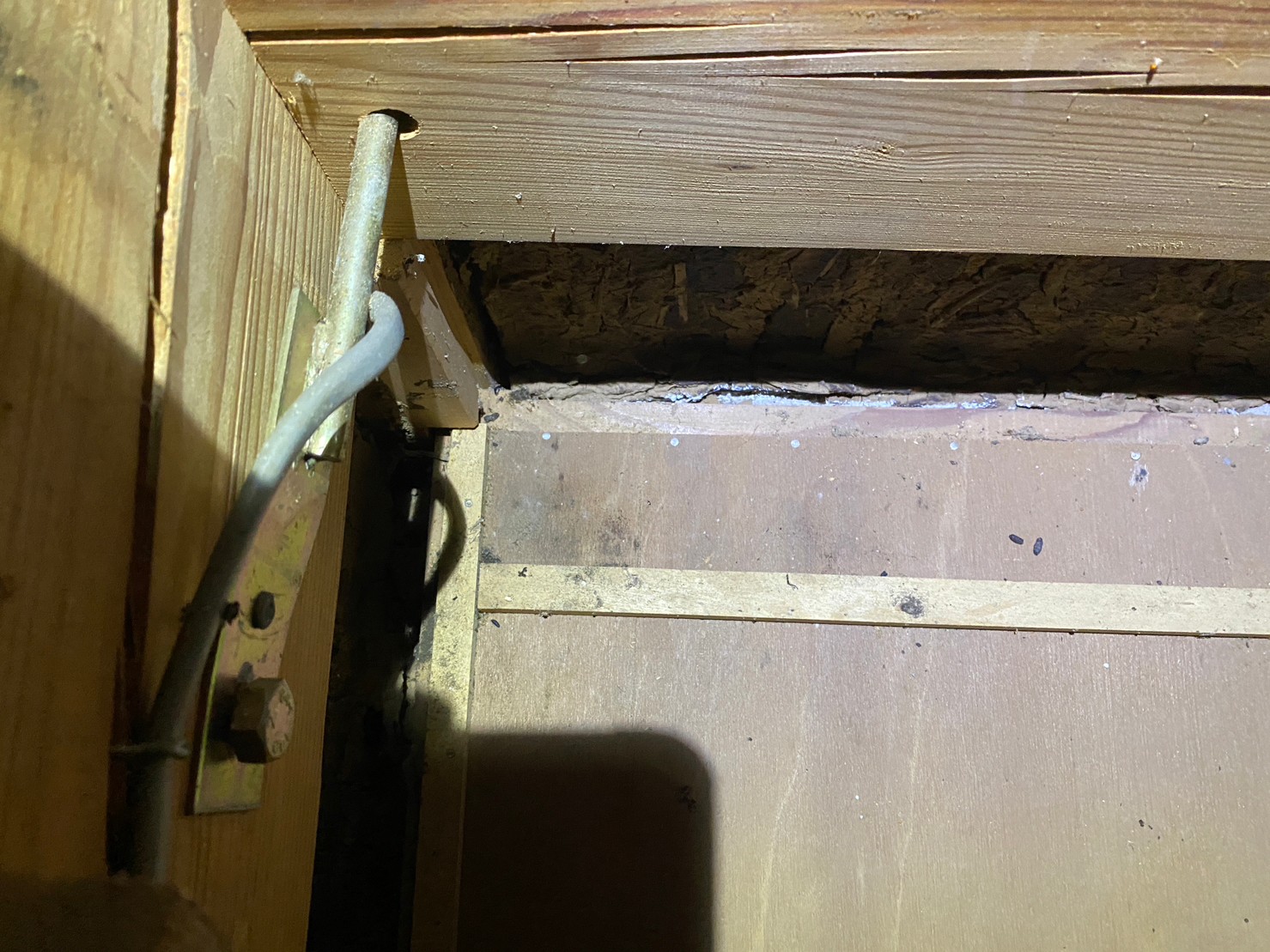 佐賀県佐賀市　イタチによる被害　Y様邸　駆除実績