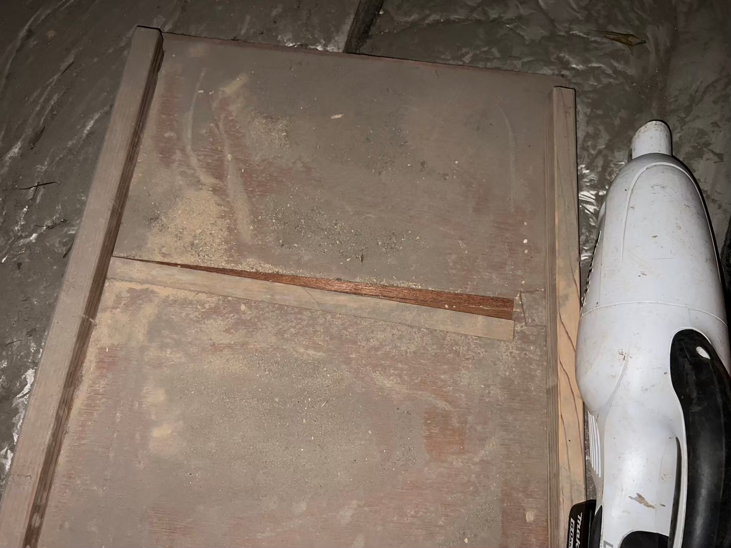 福岡県糸島市　アライグマによる被害　D様邸　駆除実績