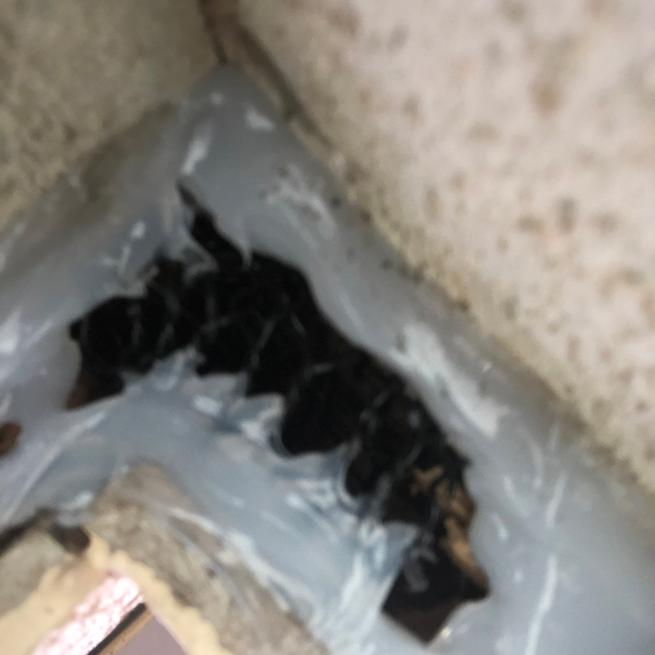 佐賀県基山町　ネズミによる被害　Y様邸　駆除実績