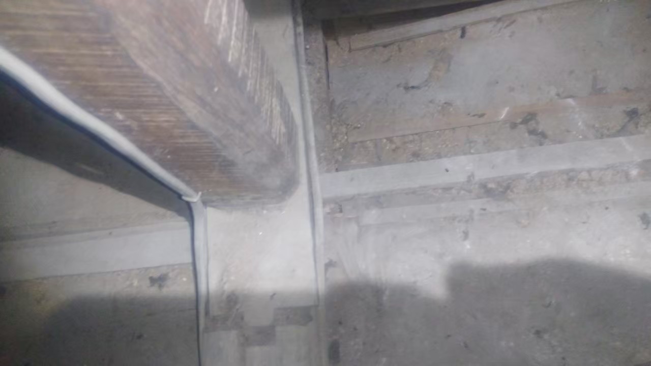 福岡県久留米市　イタチによる被害　T様邸　駆除実績