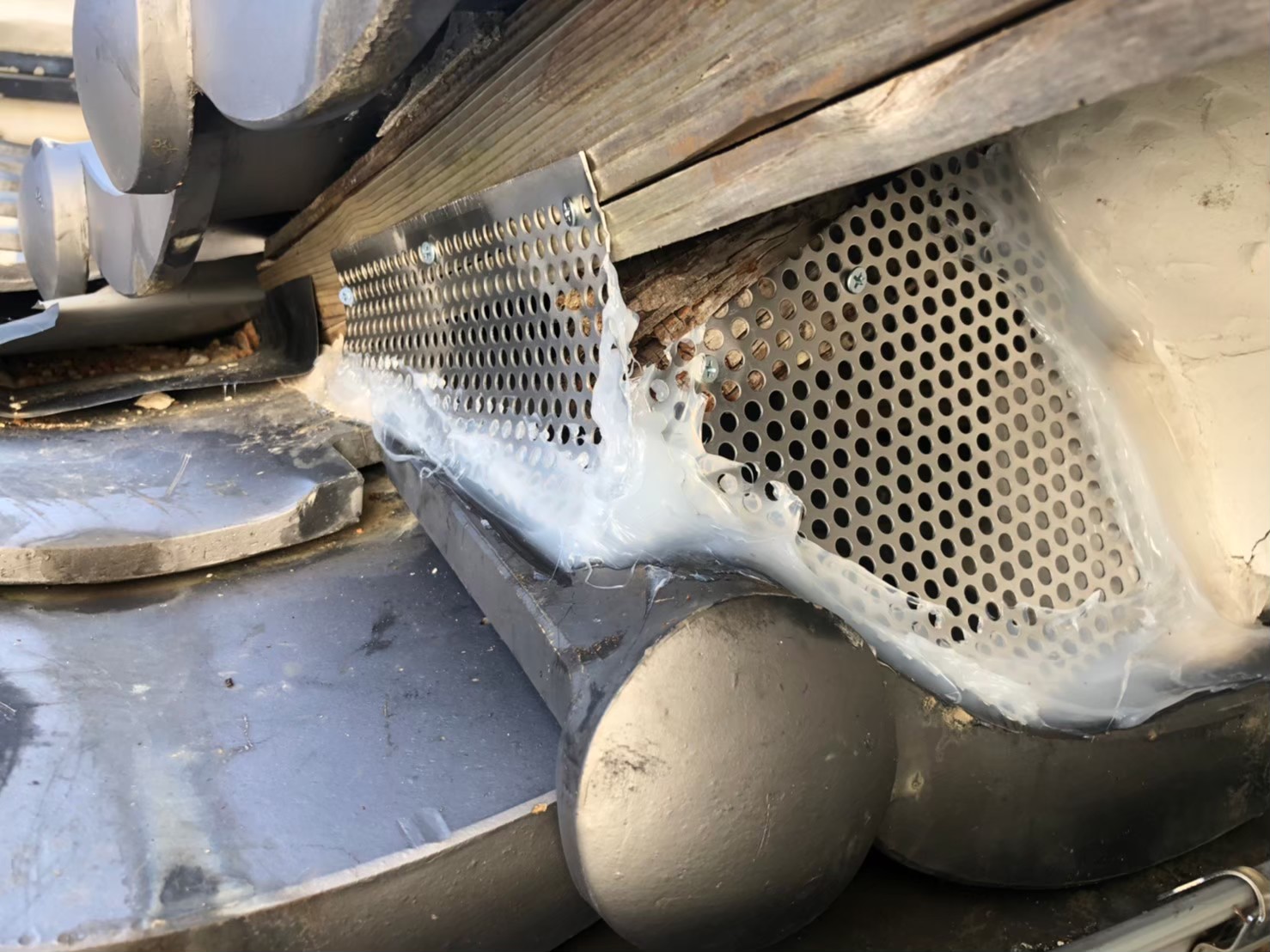 佐賀県有田町　アライグマによる被害　K様邸　駆除実績