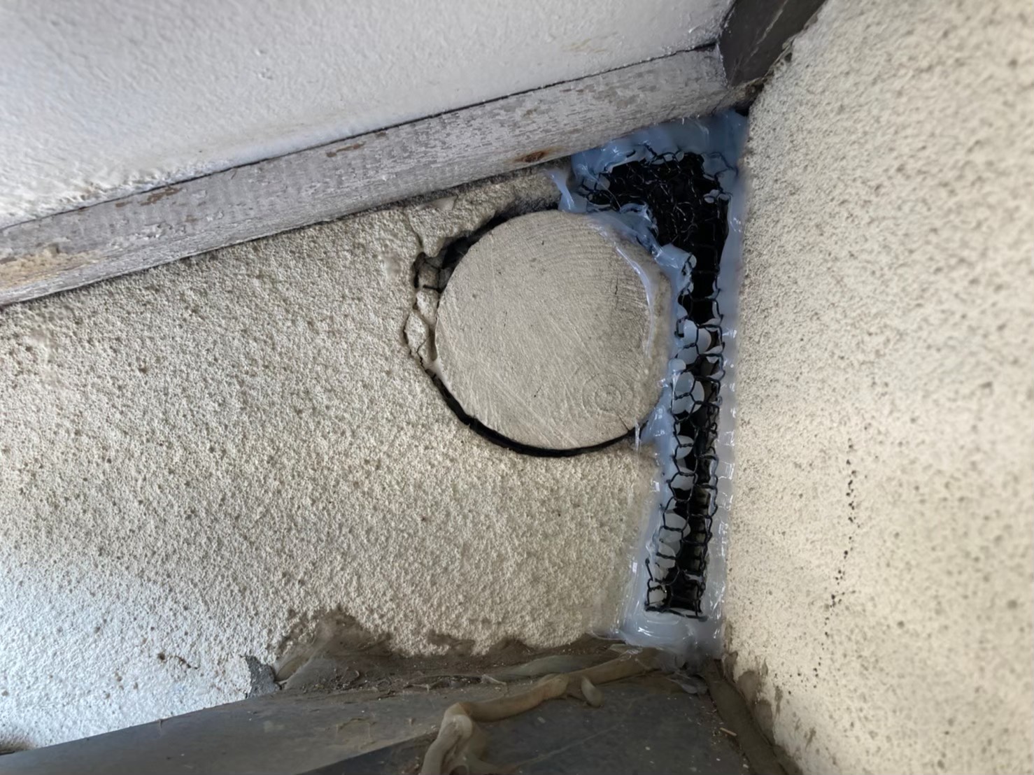 ネズミによる被害　A様邸　駆除実績