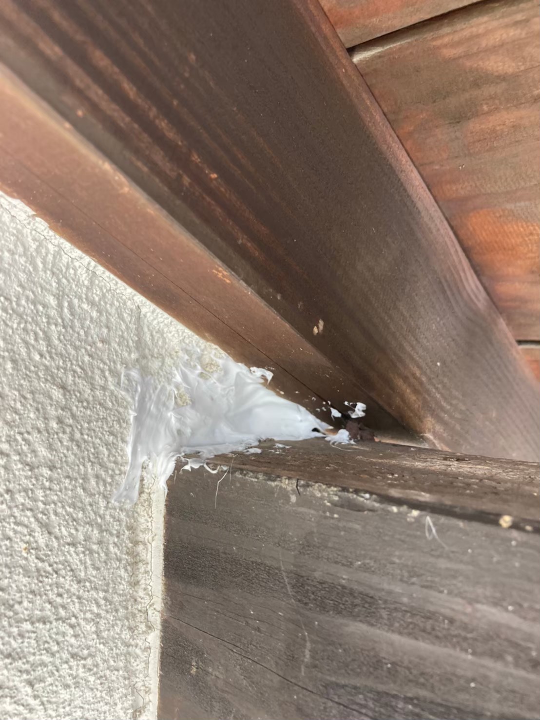 コウモリによる被害　K様邸　駆除実績