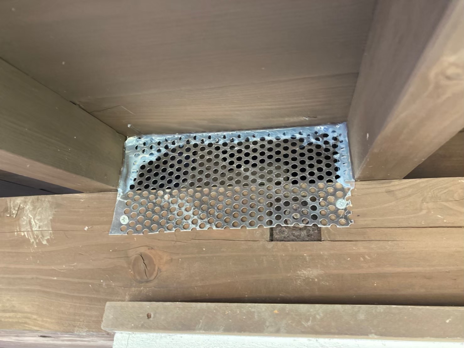 イタチによる被害　N様邸　駆除実績