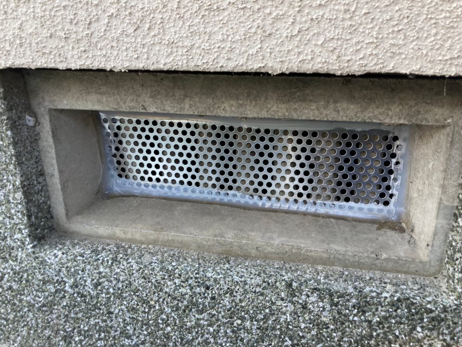 ネズミによる被害　M様邸　駆除実績