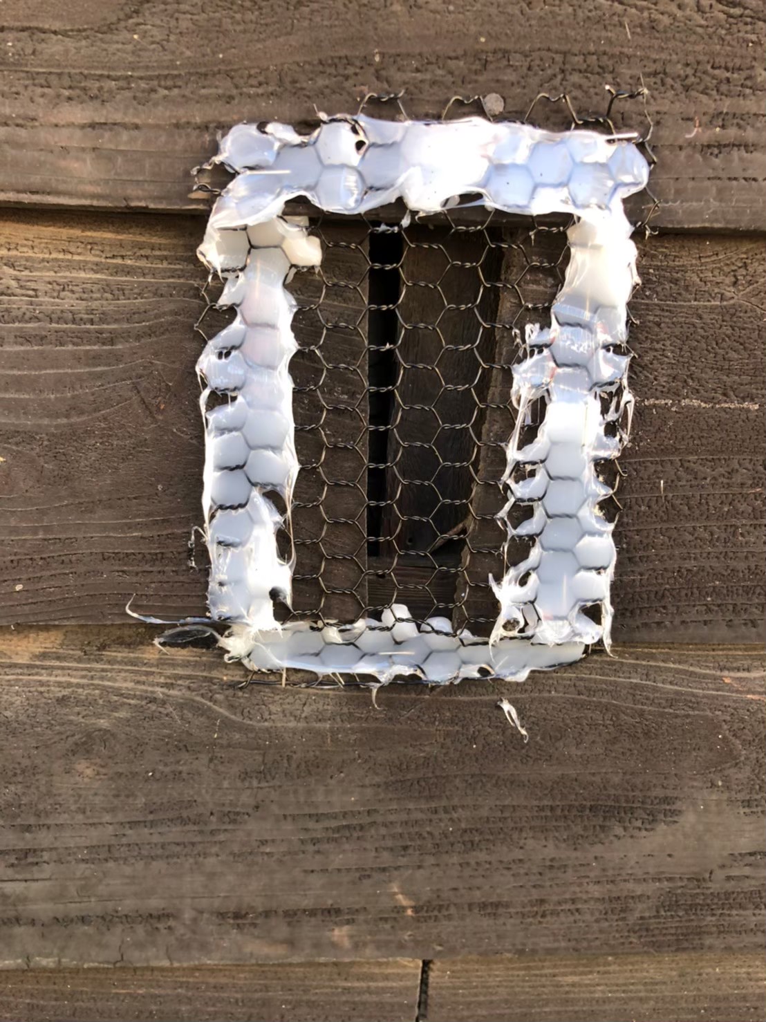 イタチによる被害　H様邸　駆除実績