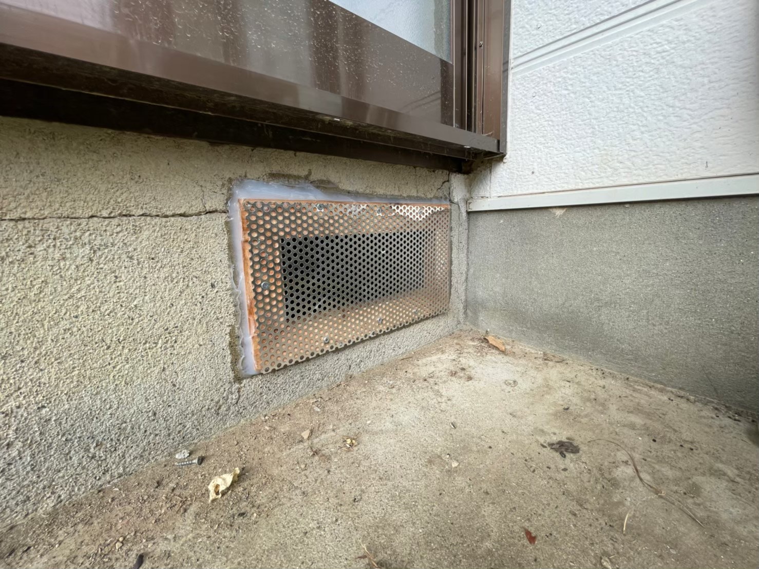 ネズミによる被害　G様邸　駆除実績