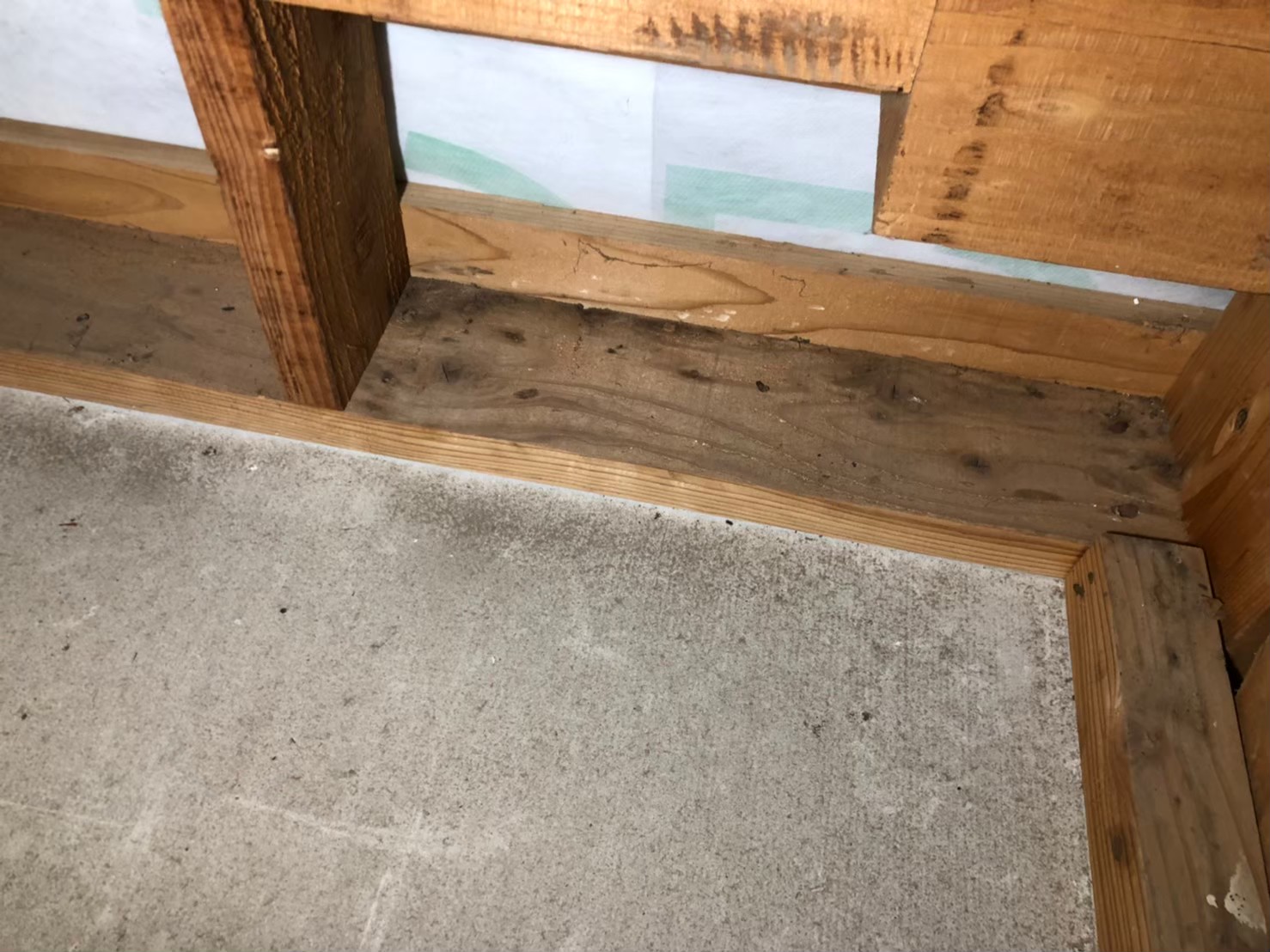 ネズミによる被害　M様邸　駆除実績