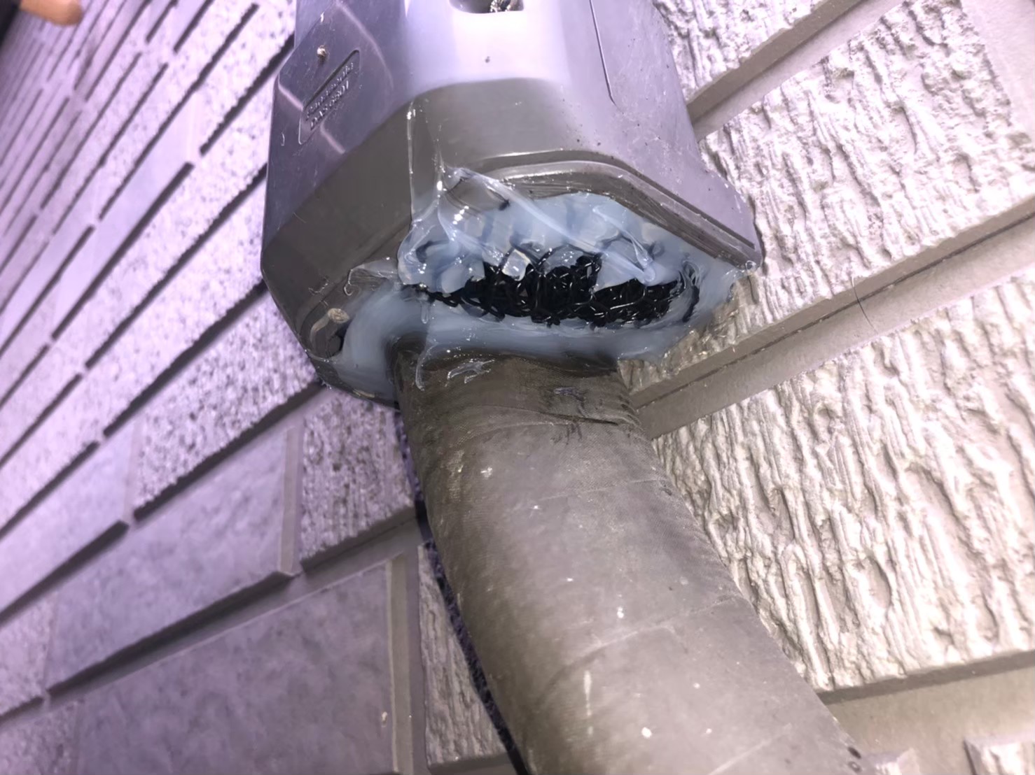 ネズミ・アライグマによる被害　S様邸　駆除実績