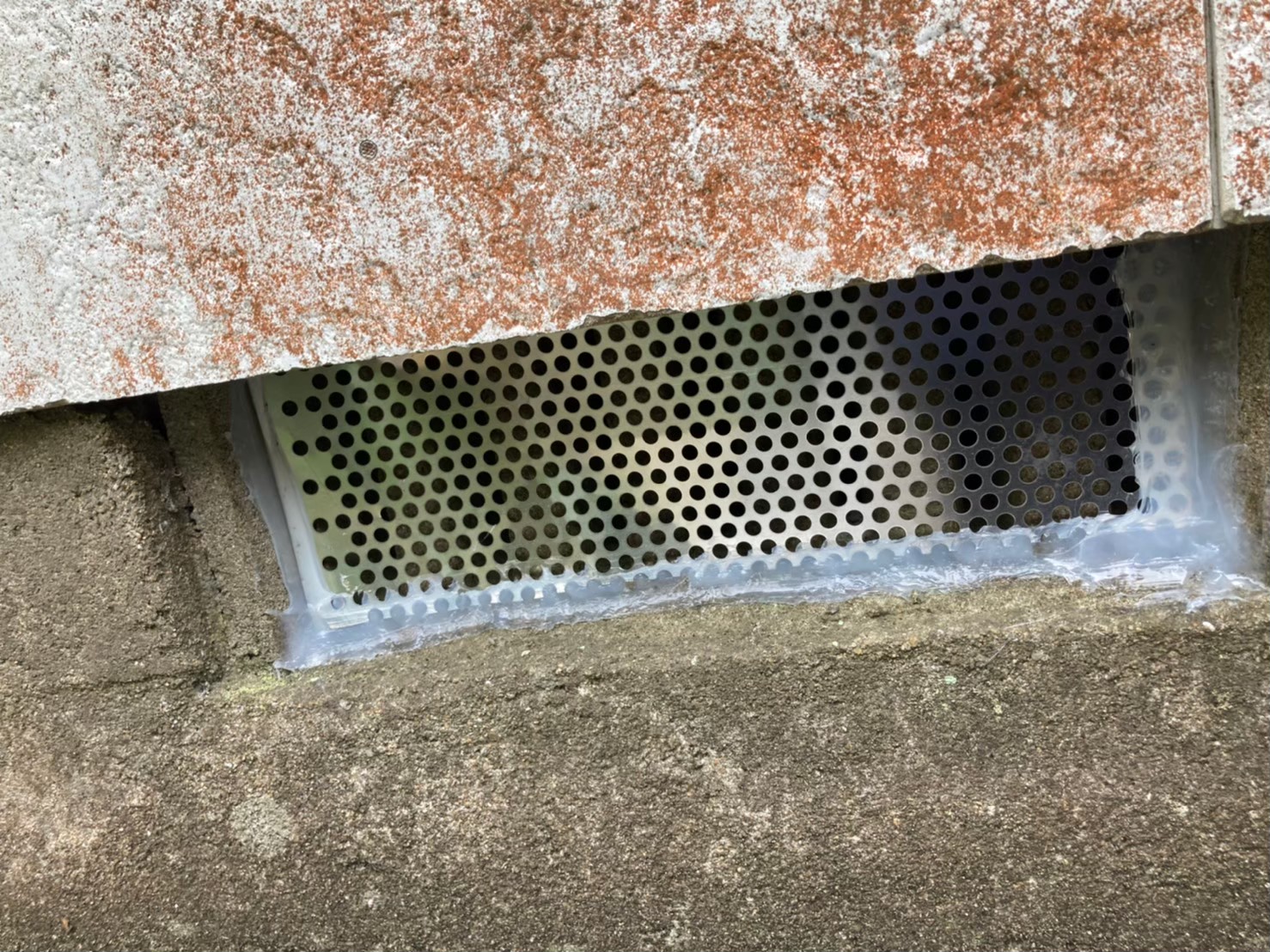 イタチによる被害　株式会社U　M様　駆除実績