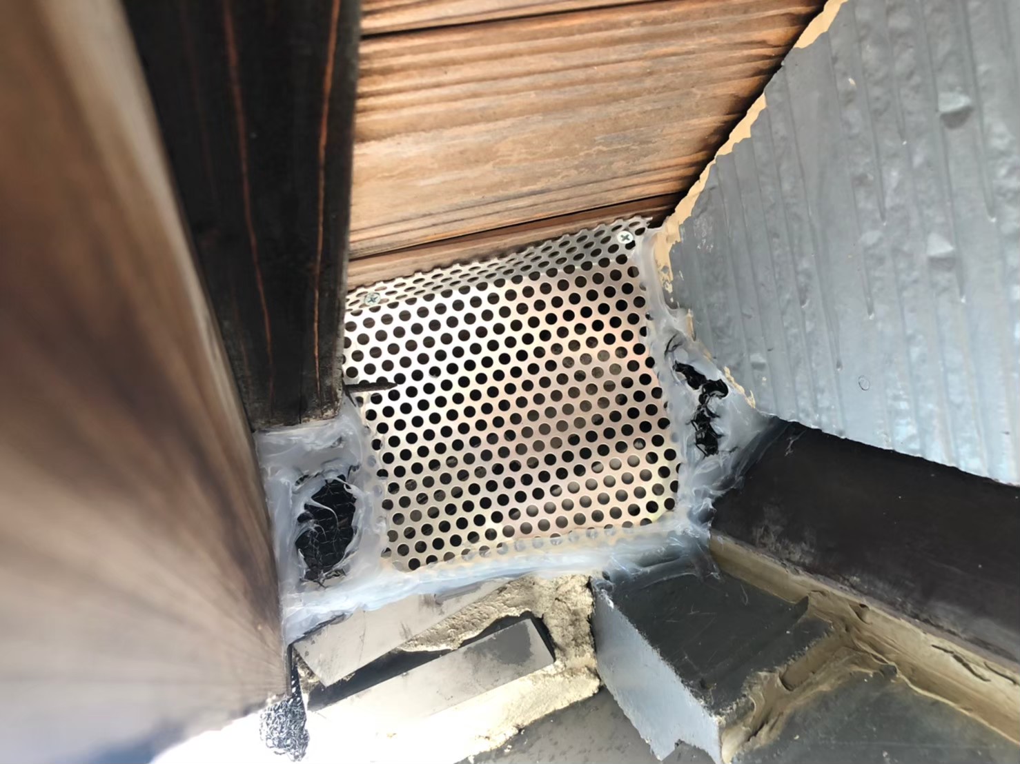 アライグマによる被害　M様邸　駆除実績