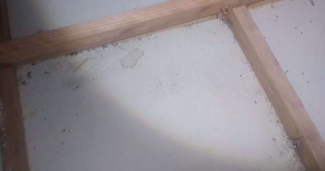 佐賀県嬉野市　イタチによる被害　駆除実績