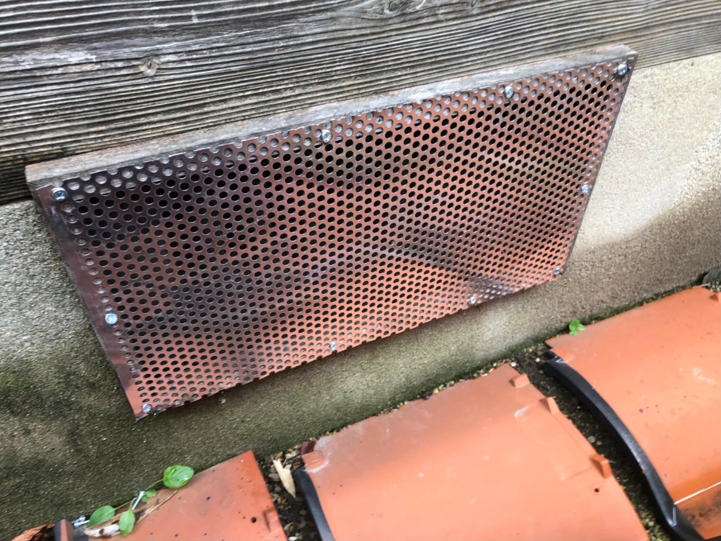 佐賀県鳥栖市　ネズミによる被害　K様邸　駆除実績