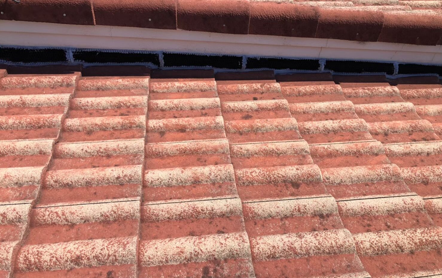 佐賀県佐賀市　イタチによる被害　H様邸　駆除実績