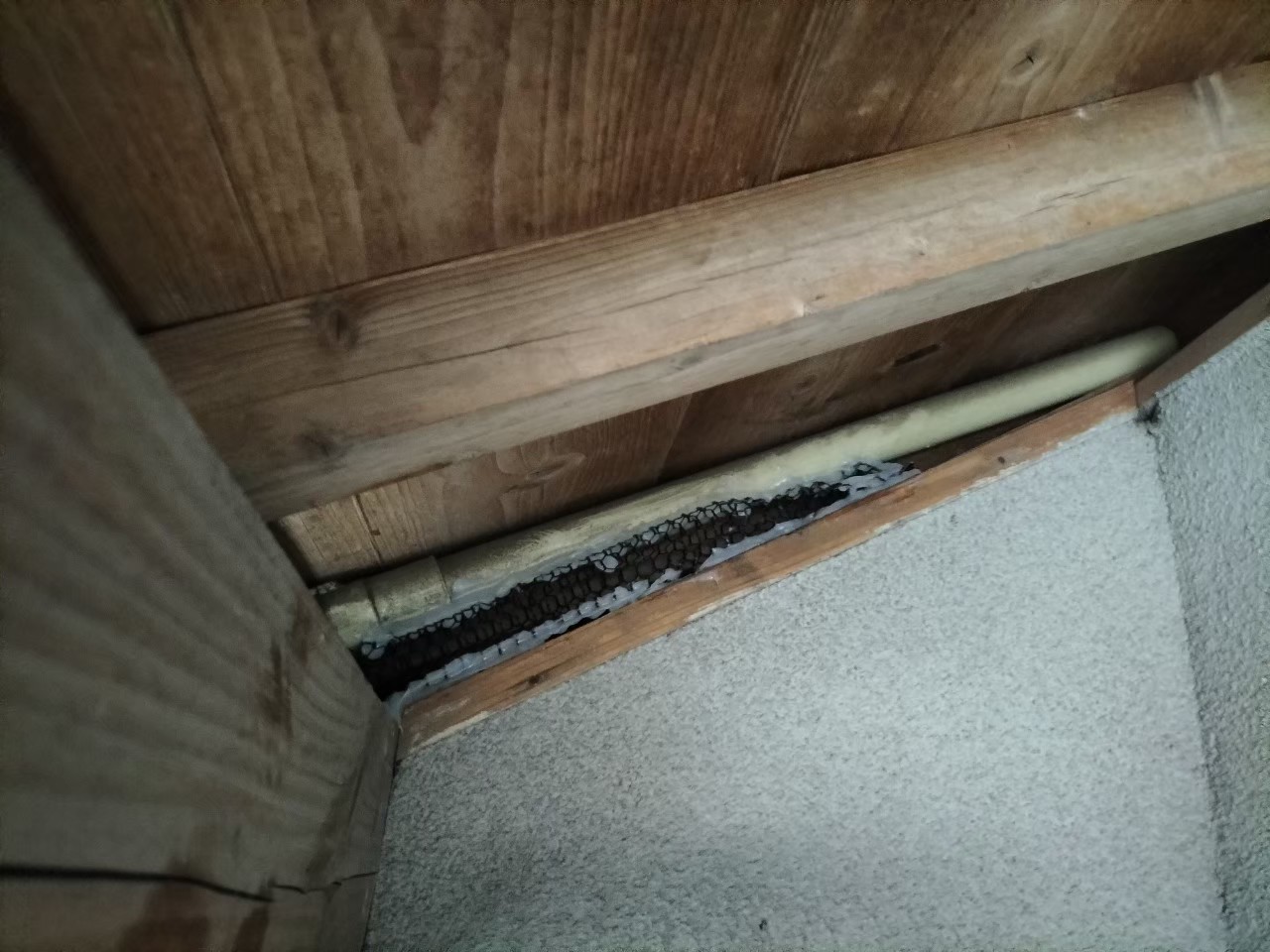 佐賀県神埼市　ネズミによる被害　H様邸　駆除実績