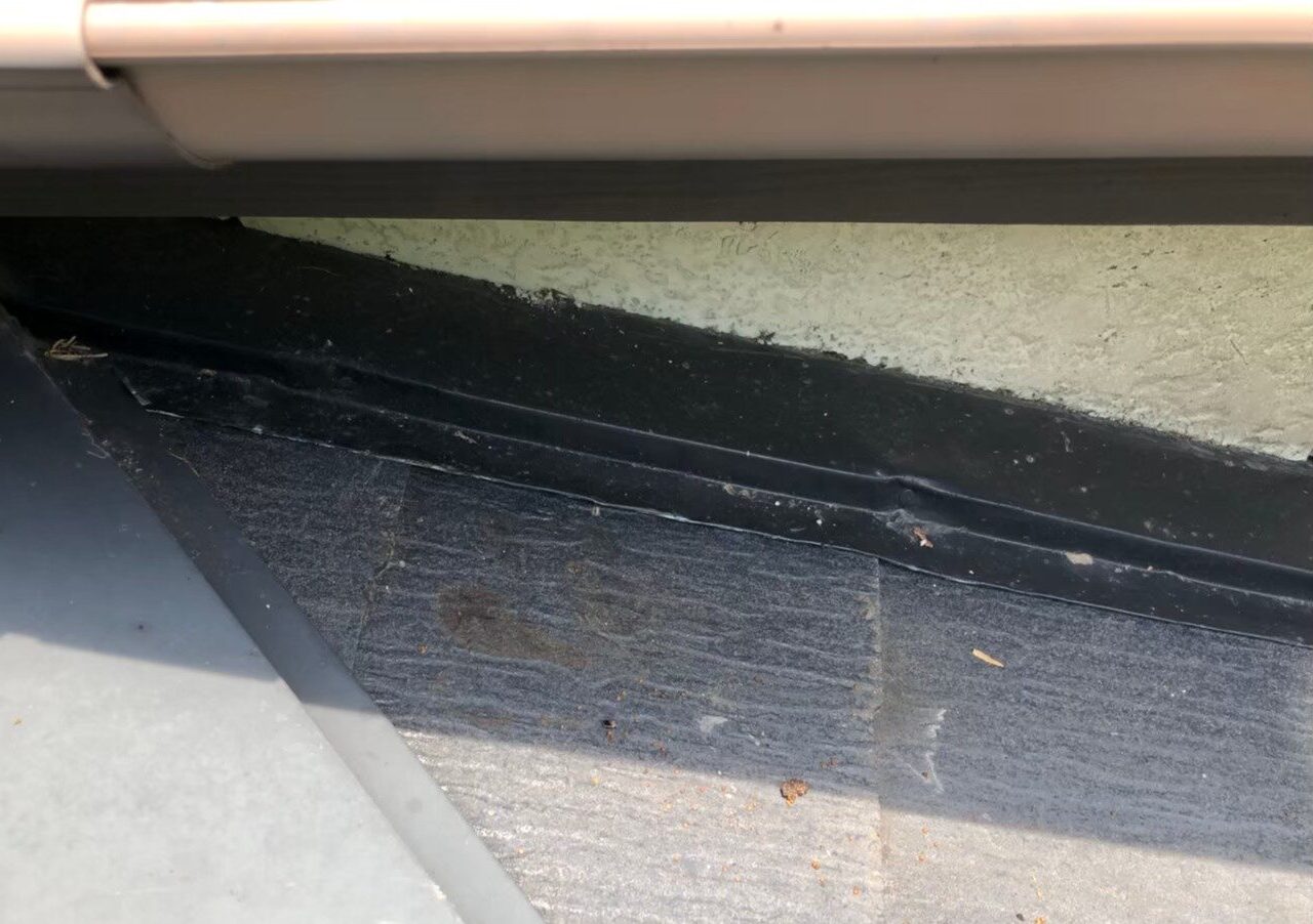 ハクビシンによる被害　A様邸　駆除実績