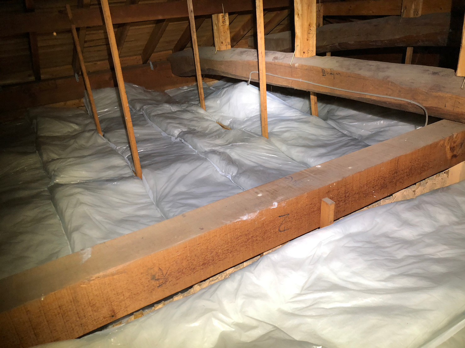 佐賀県神埼市　アライグマによる被害　G様邸　駆除実績