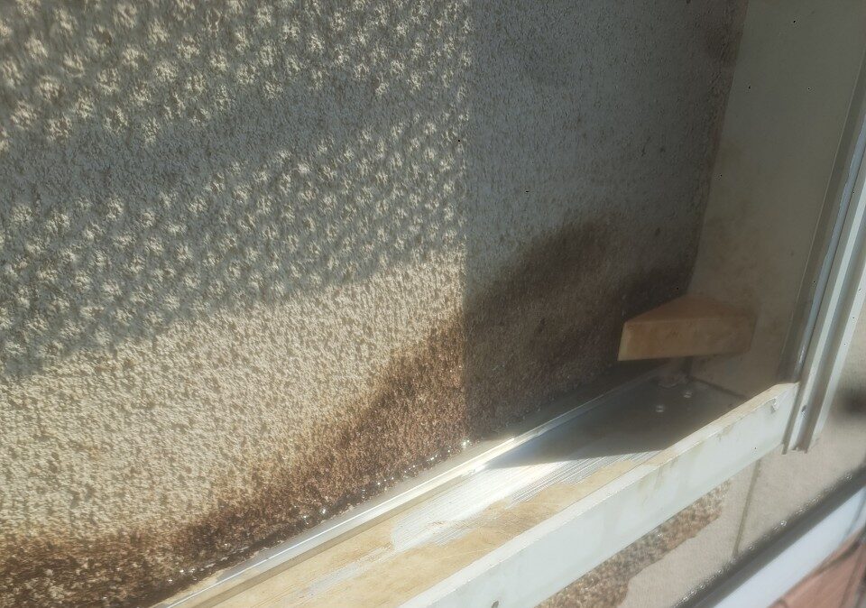 福岡県行橋市　ネズミによる被害　M様邸　駆除実績