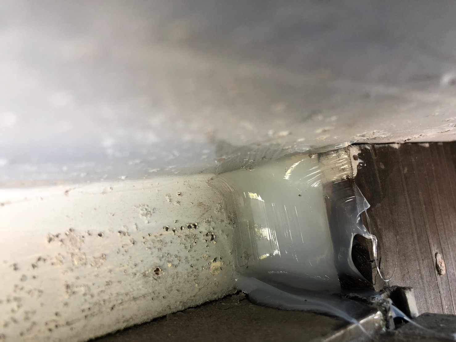 佐賀県みやき町　イタチによる被害　S様邸　駆除実績