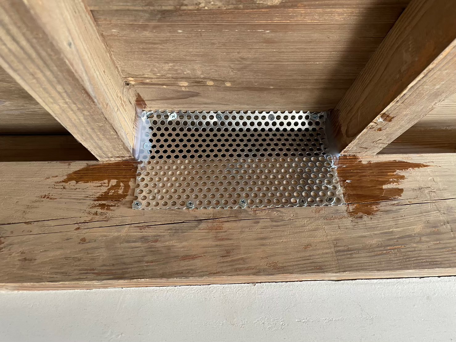 佐賀県基山町　アライグマによる被害　S様邸　駆除実績