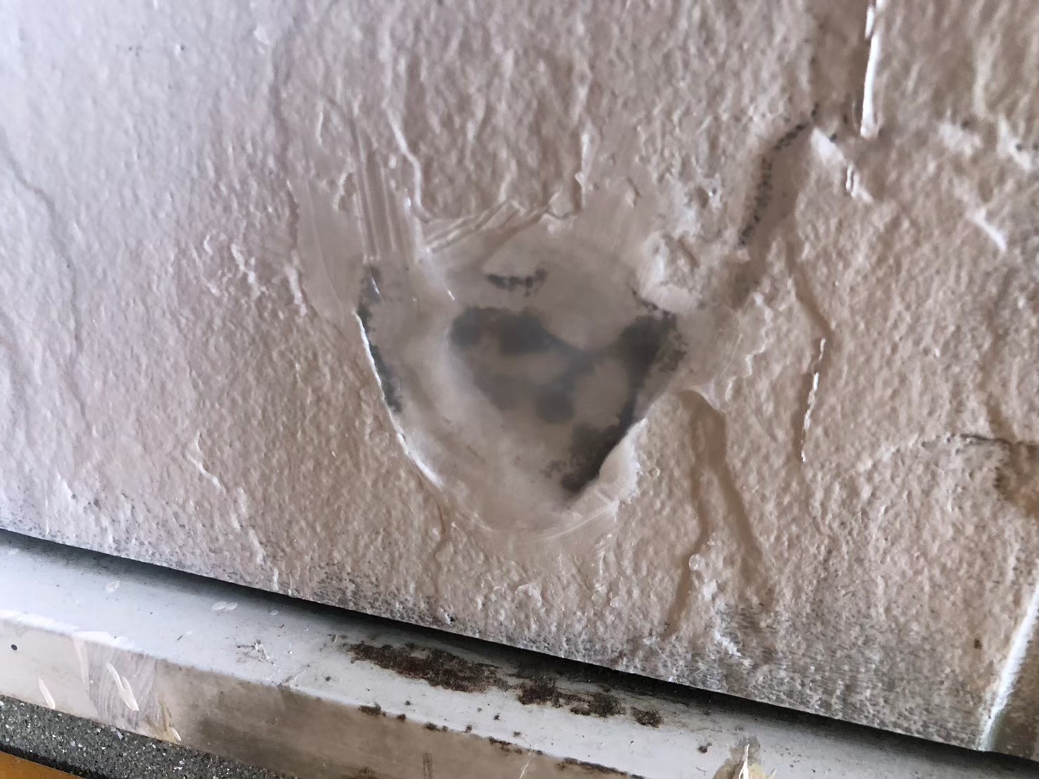 佐賀県小城市　ネズミによる被害　K様邸　駆除実績