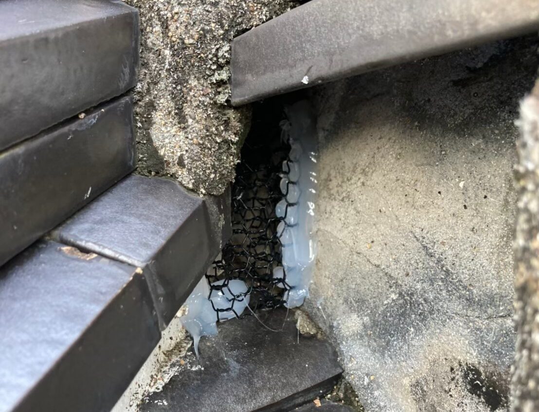 ネズミによる被害　M様邸　駆除実績