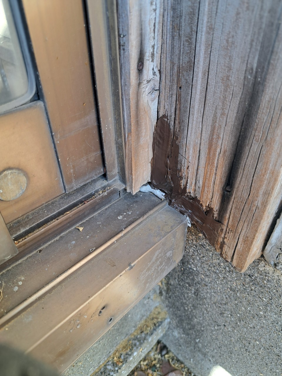 佐賀県佐賀市　アライグマによる被害　T様邸　駆除実績