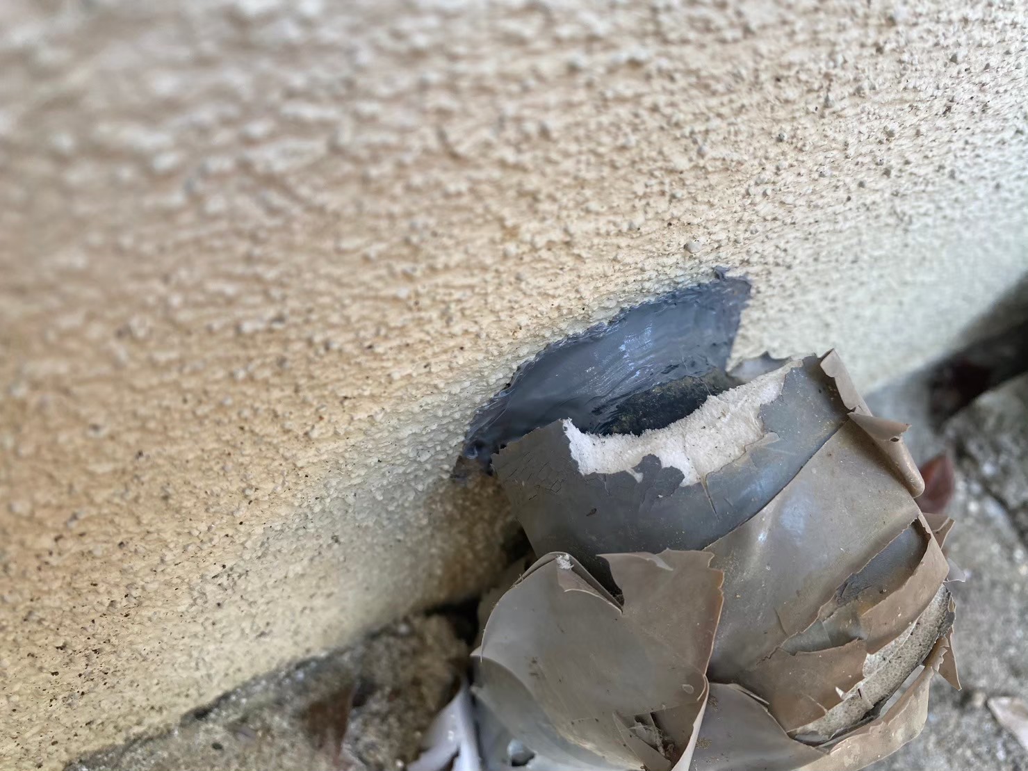 福岡県飯塚市　イタチによる被害　S様邸　駆除実績