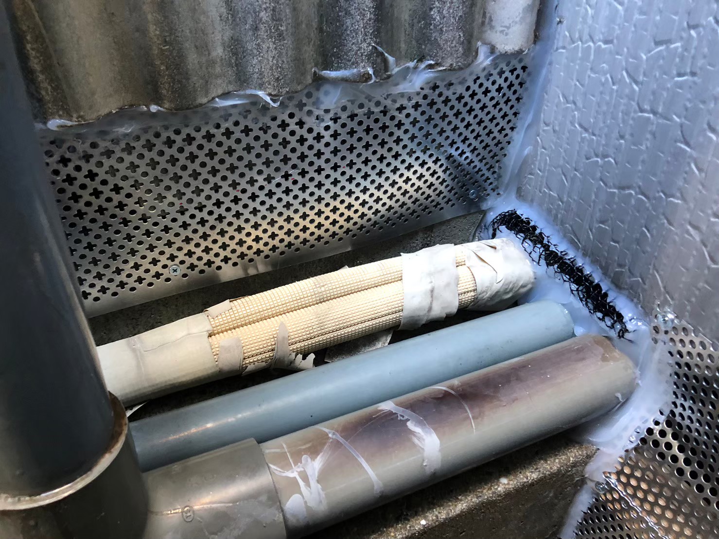 佐賀県多久市　株式会社Z Y様　イタチによる被害　駆除実績