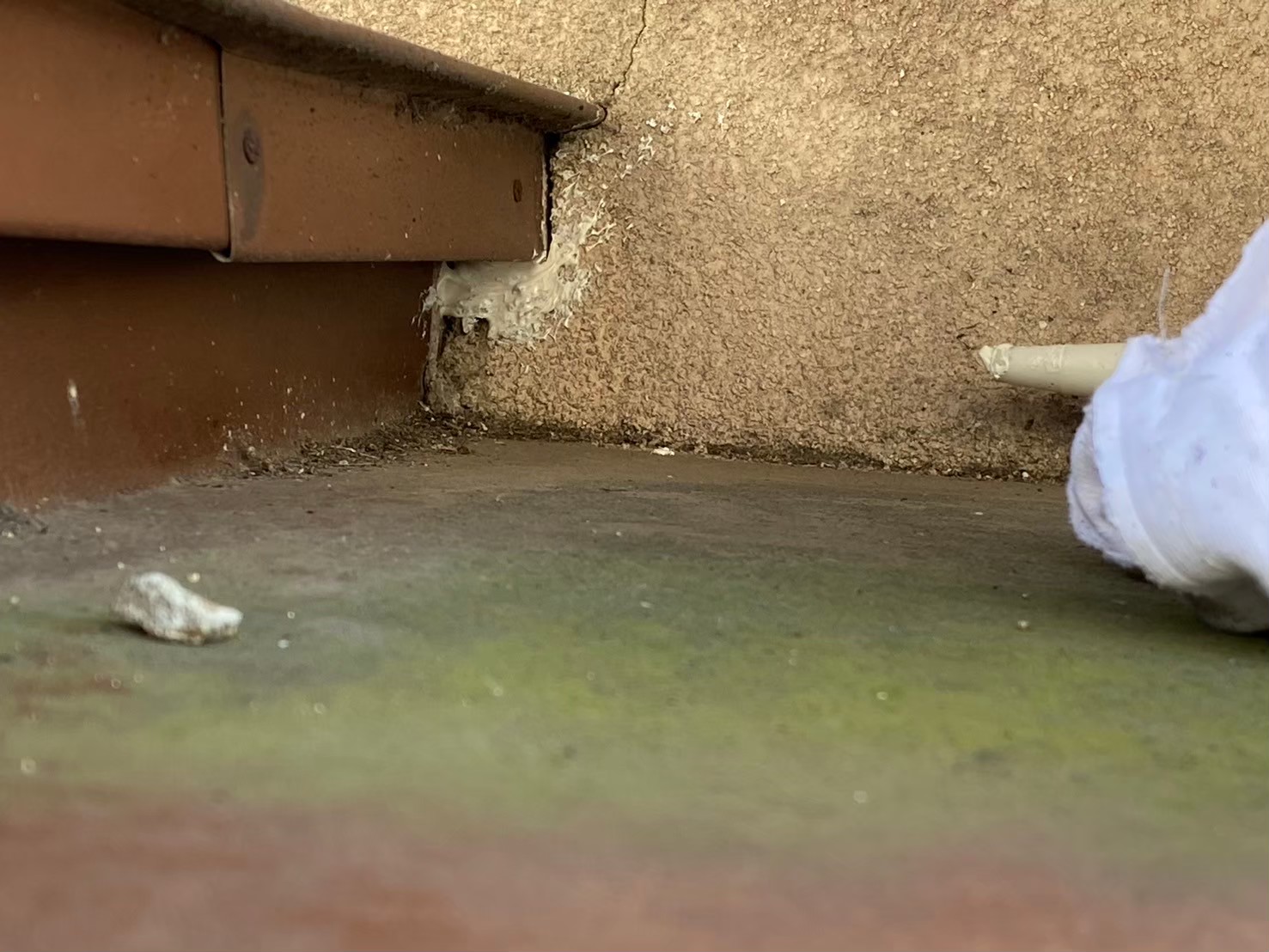 福岡県太宰府市　ネズミによる被害　S様邸　駆除実績