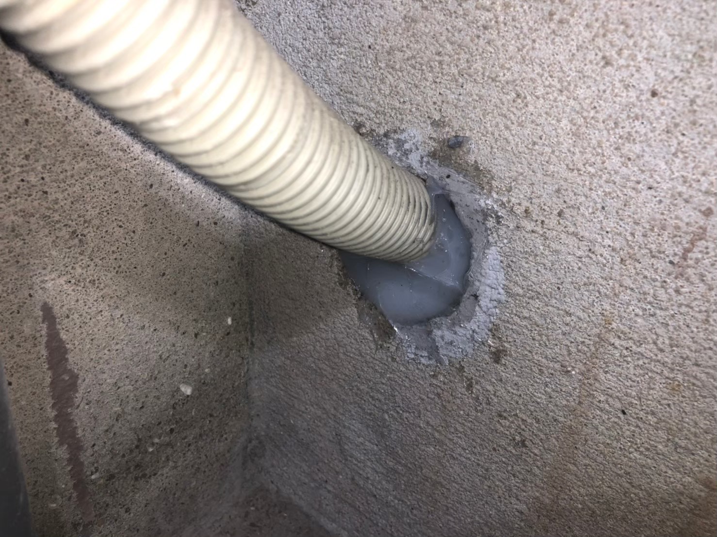 佐賀県佐賀市　ネズミによる被害　A様邸　駆除実績