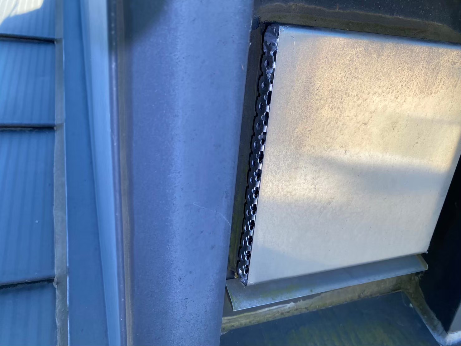 佐賀県神埼市　ネズミによる被害　Y様邸　駆除実績