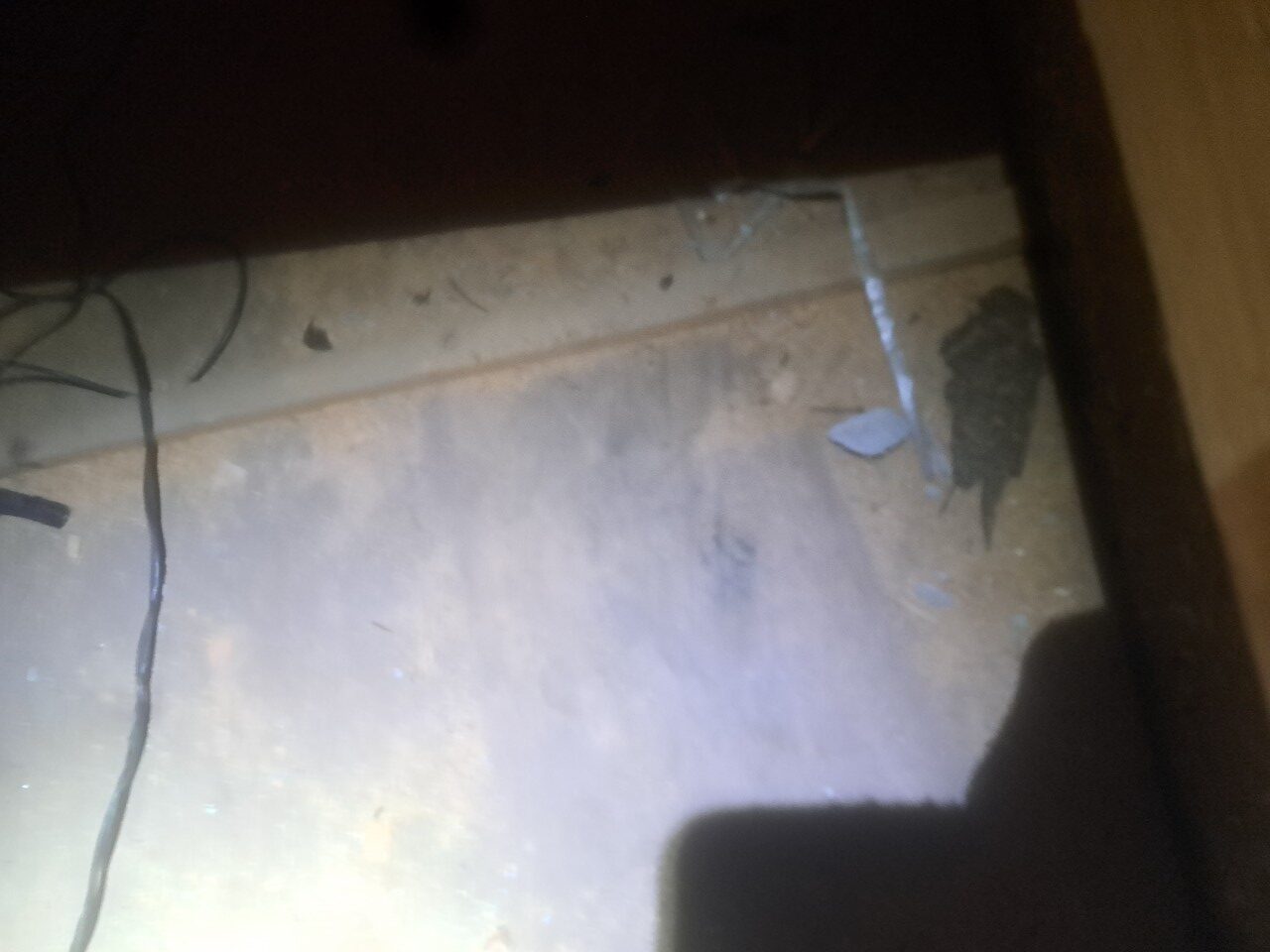 佐賀県神崎市　アライグマによる被害　I様邸　駆除実績