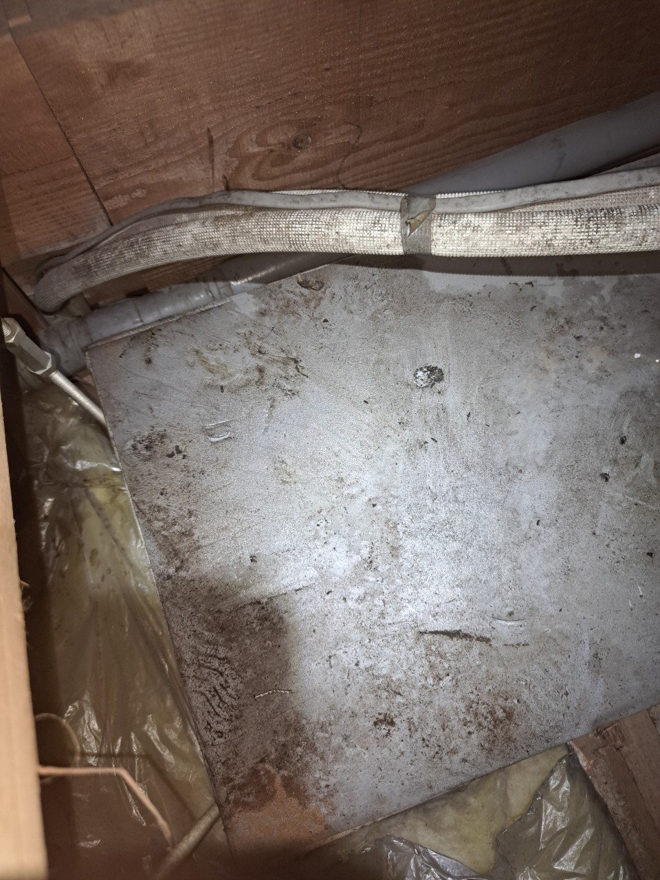 福岡県飯塚市　イタチによる被害　N様邸　駆除実績