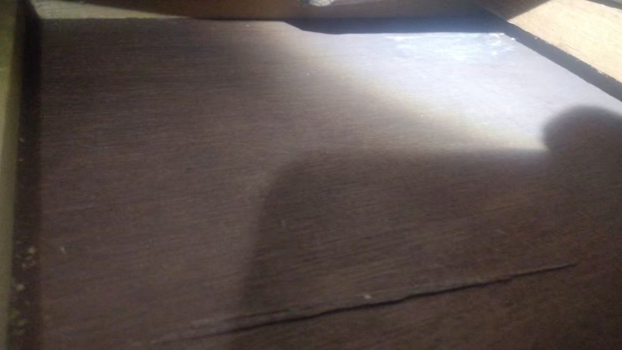 福岡県福岡市　イタチによる被害　O様邸　駆除実績