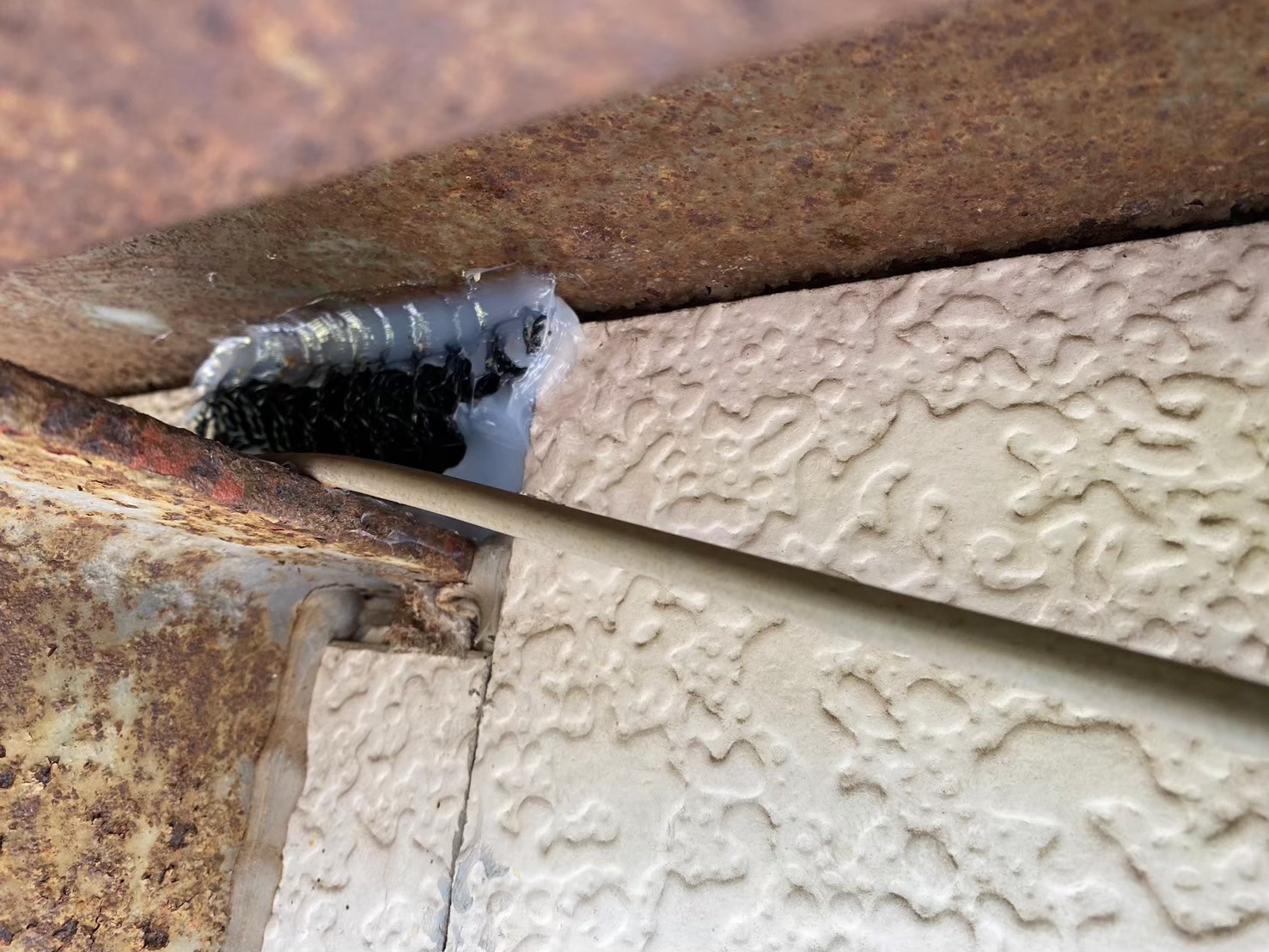 佐賀県佐賀市　ネズミによる被害　K様邸　駆除実績