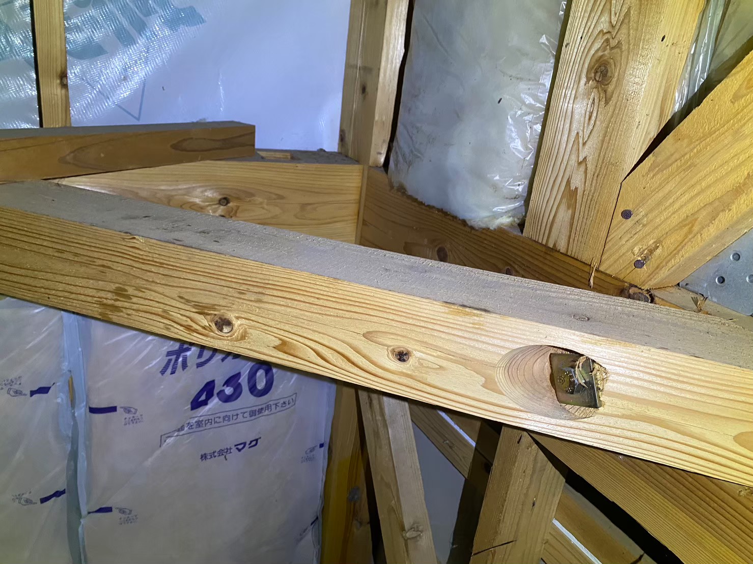 福岡県久留米市　ネズミによる被害　Y様邸　駆除実績