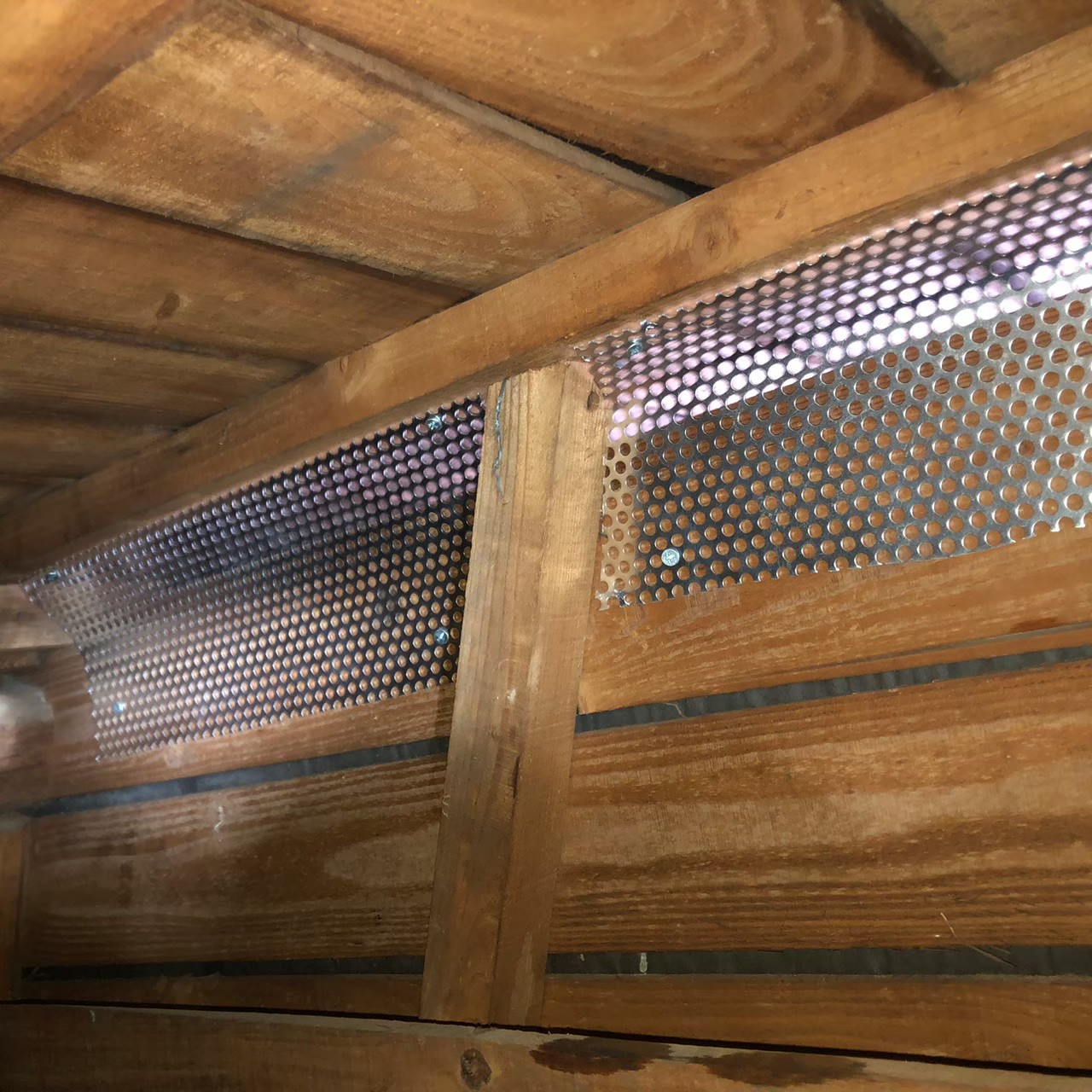 福岡県八女市　イタチによる被害　O様邸　駆除実績